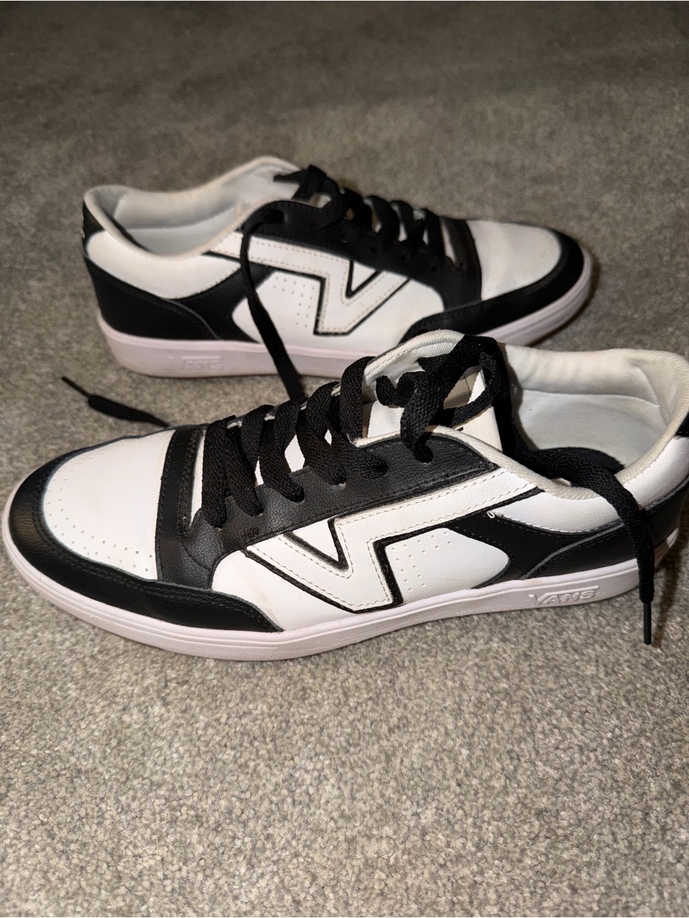 Vans Black and White Low-Top Skate Sneakers